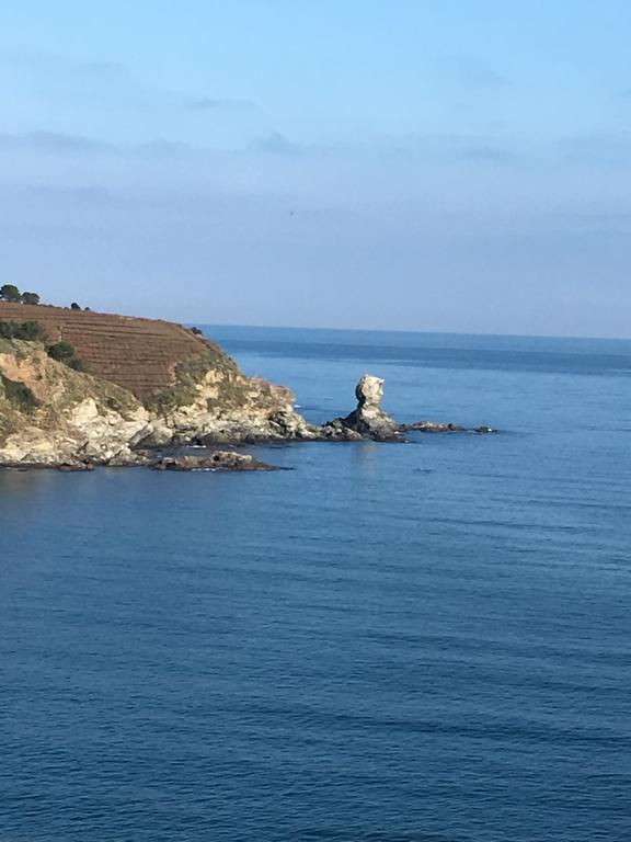 Ibis Styles Collioure Port Vendres Hotel Buitenkant foto